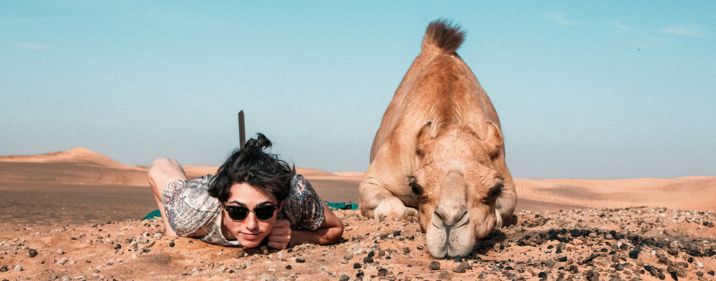 About Camel